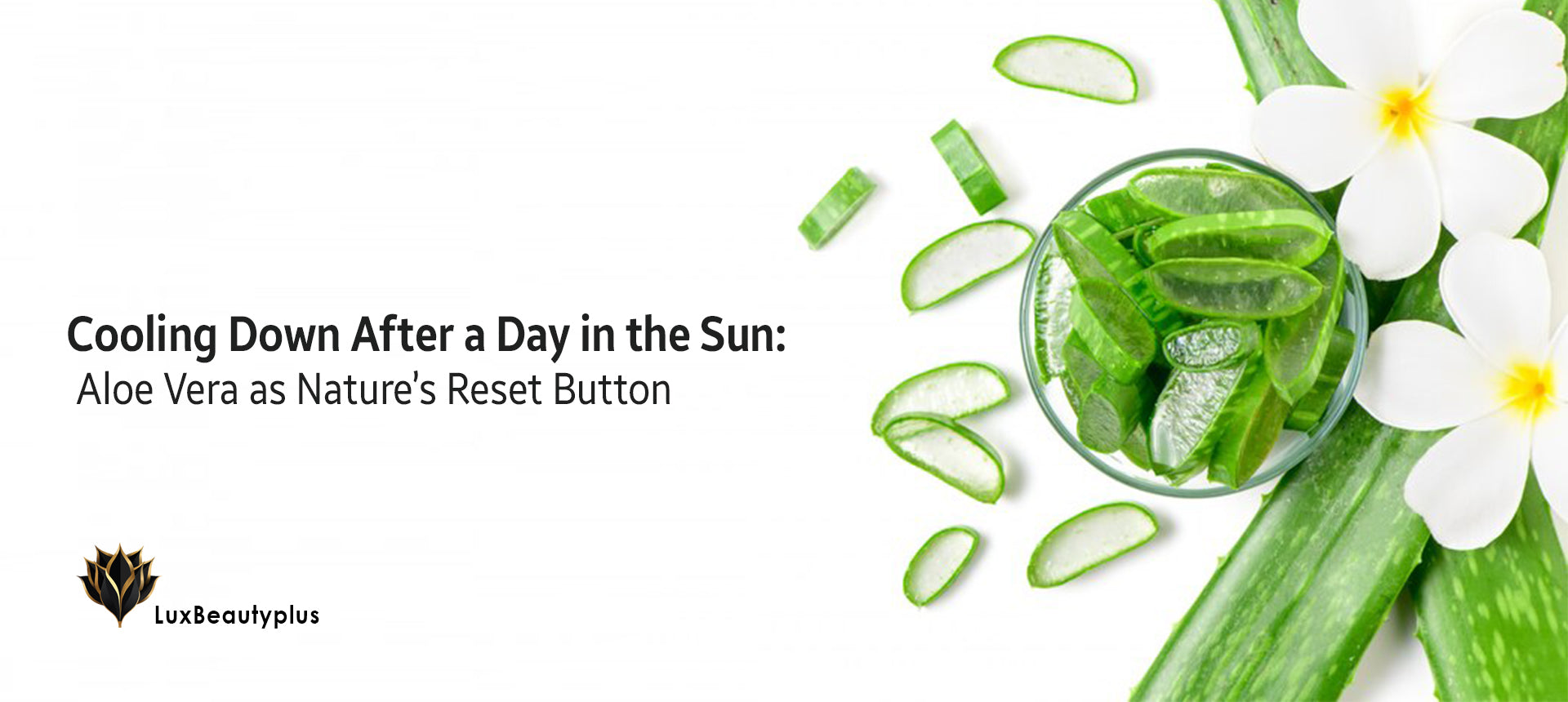 The Rising Demand for Vegan and Paraben-Free Skincare in the Gulf